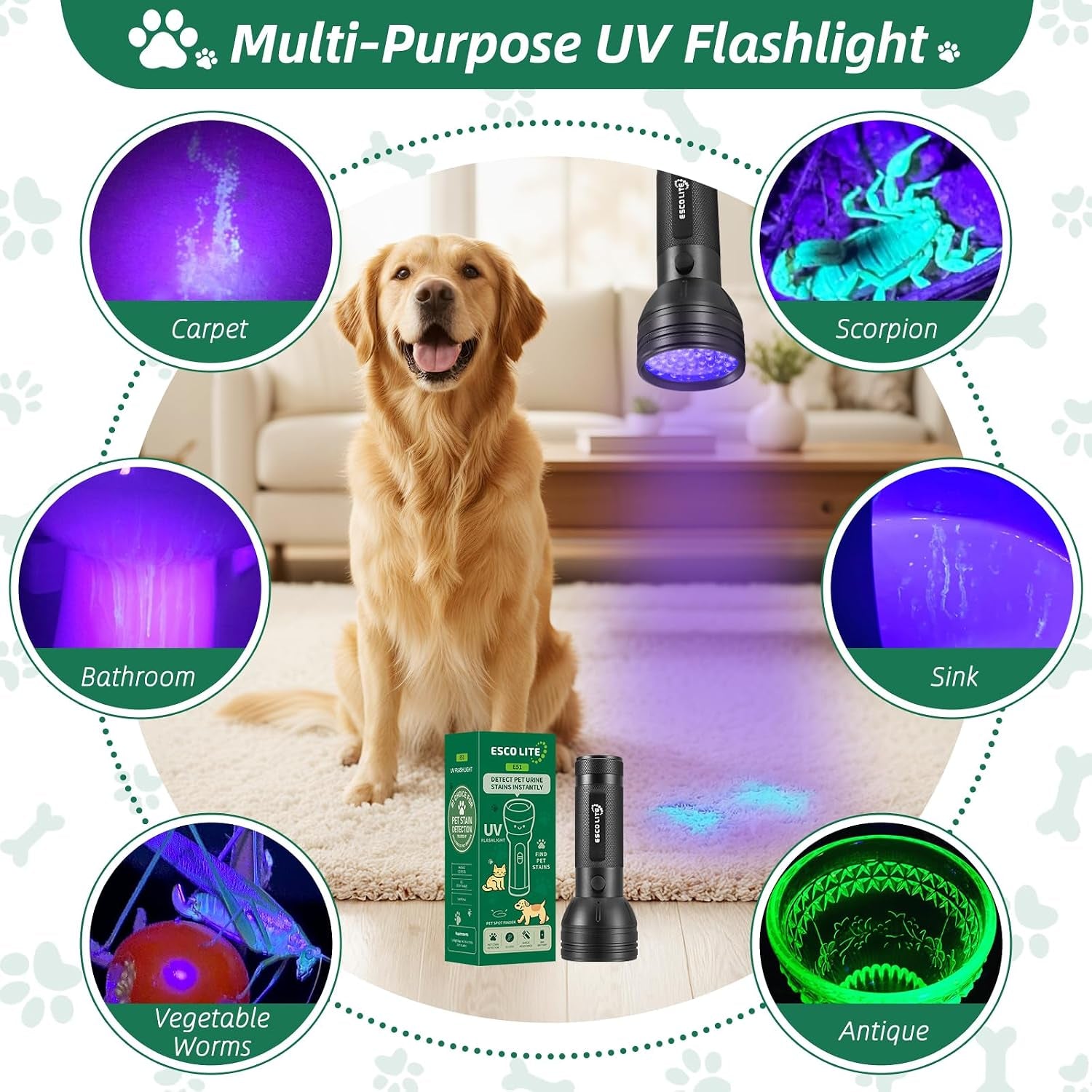 Black Light for Pet Urine Detection UV Flashlight 395Nm Pet Urine Detector Light for Cat Pee and Dog Stains Carpets Floors